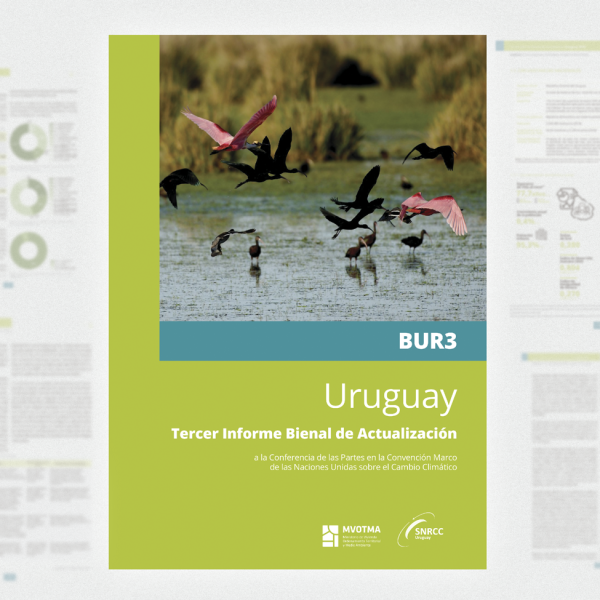 Tercer Informe Bienal de Actualización