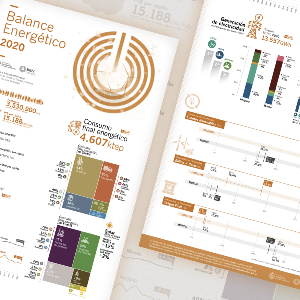 Infografía BEN 2020